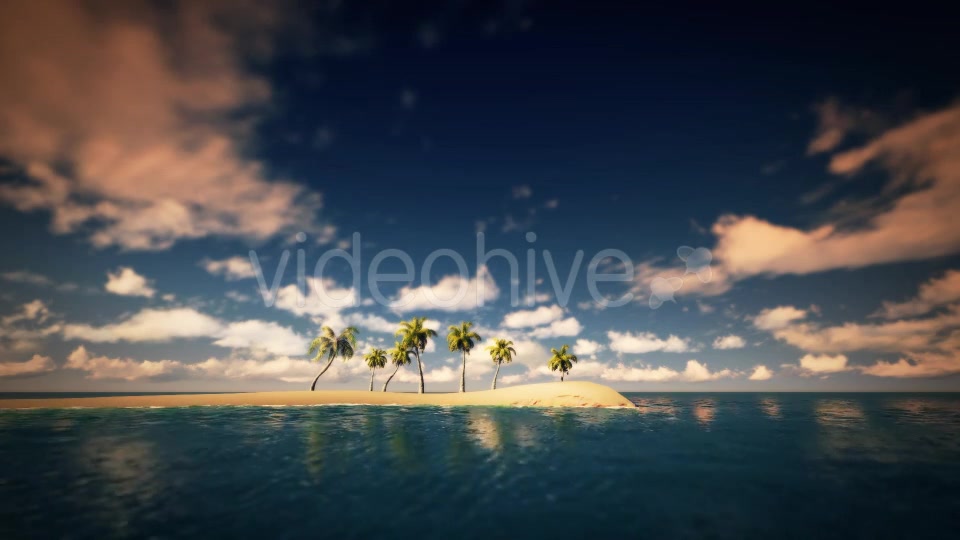 Palms And The Beach Noon - Download Videohive 16247651