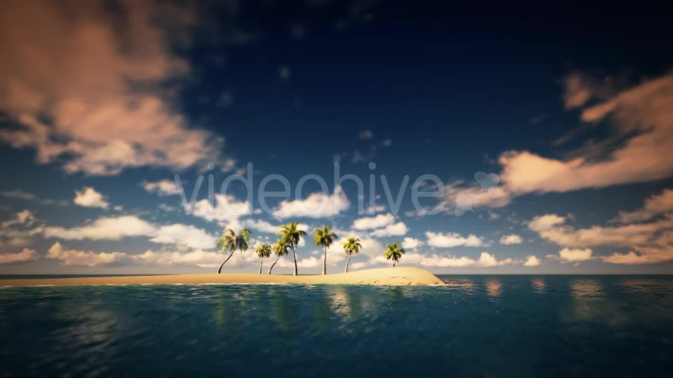 Palms And The Beach Noon - Download Videohive 16247651