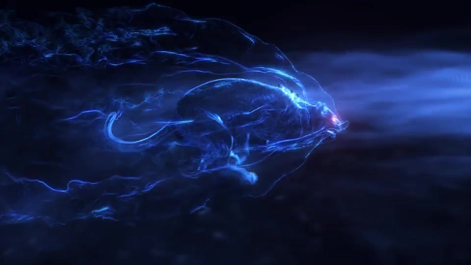 Panther | Dark Smoke Reveal - Download Videohive 18506374