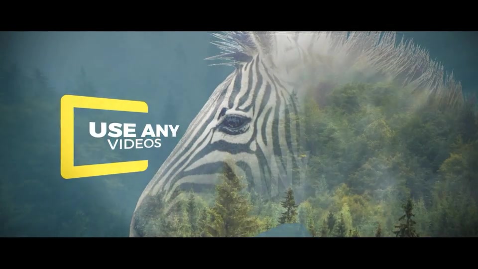 Parallax Double Exposure - Download Videohive 16899368