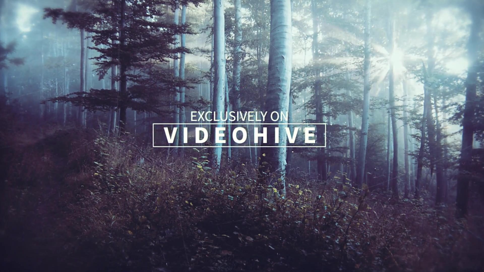 Parallax Epic Slideshow - Download Videohive 13755283