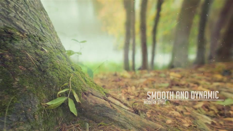 Parallax Intro Videohive 13400114 After Effects Image 12