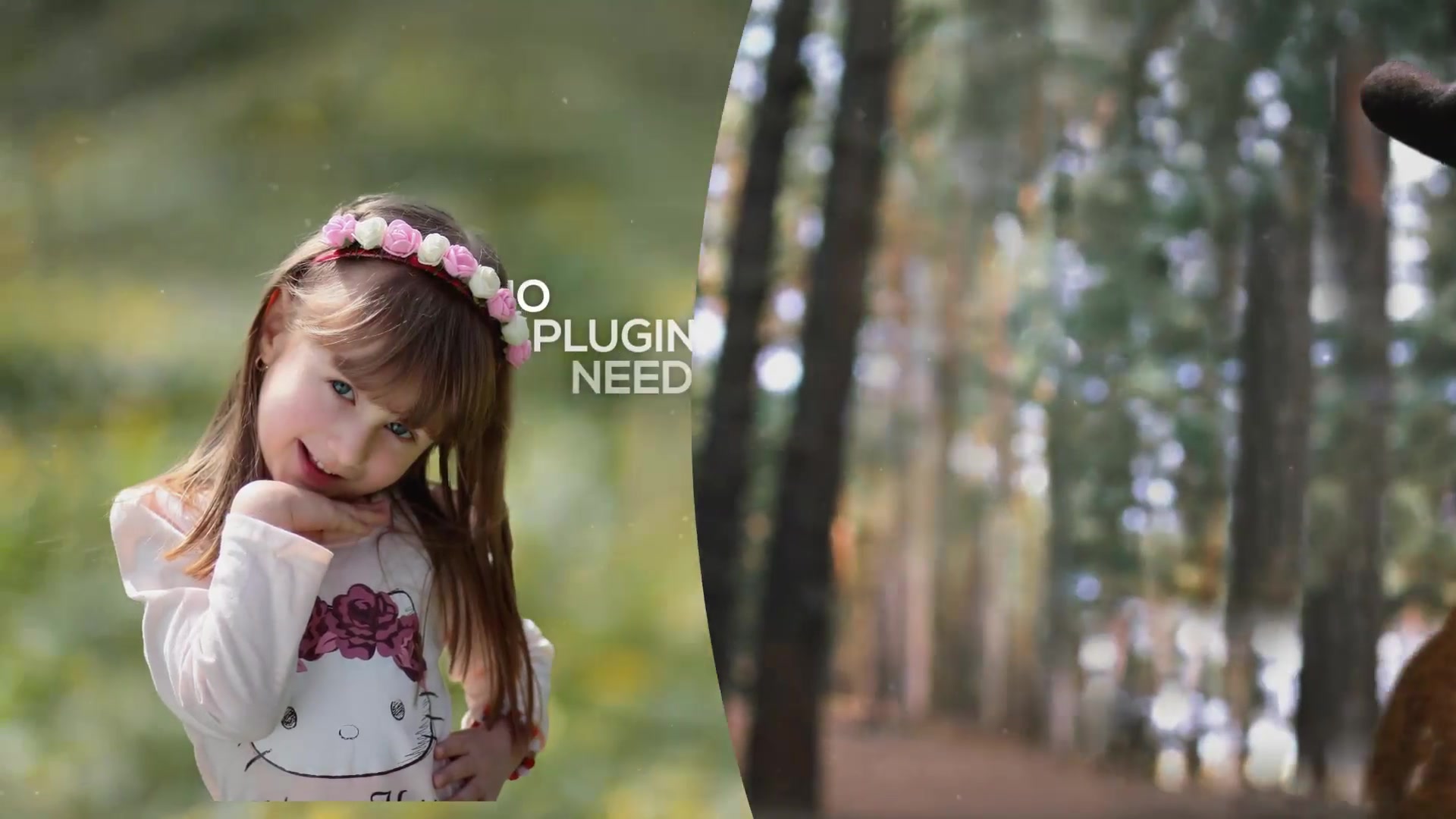 Parallax Opener Slideshow - Download Videohive 16069868