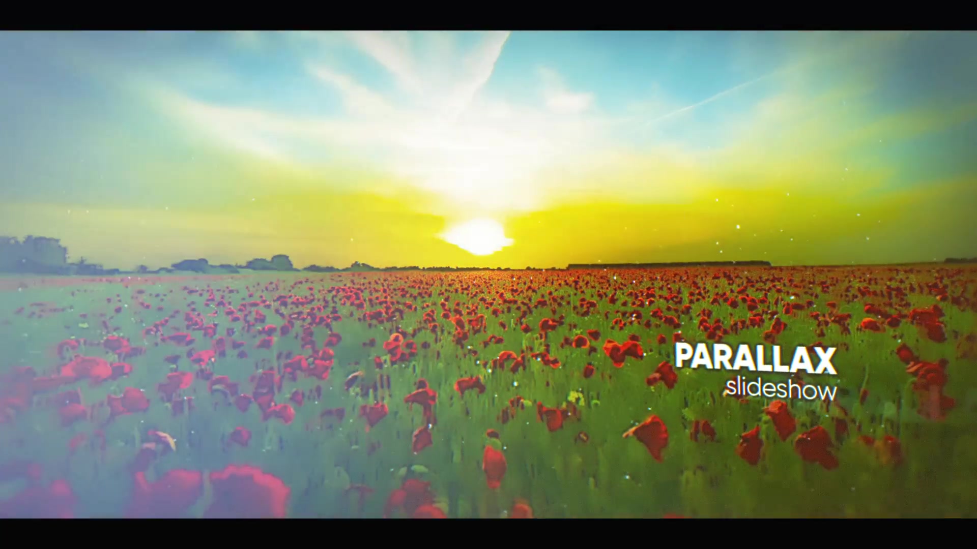 Parallax Picture Slideshow Videohive 21977015 After Effects Image 4