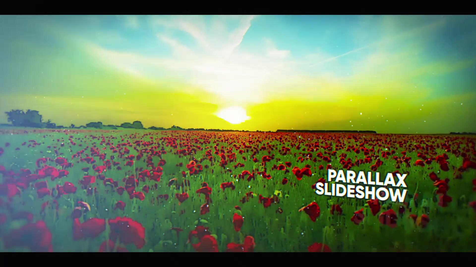 Parallax Picture Slideshow Videohive 26111120 Premiere Pro Image 4