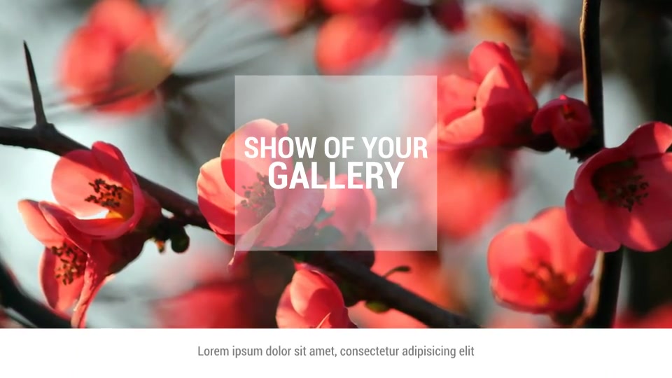 Parallax Slideshow - Download Videohive 9625664