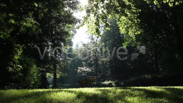 Park Forest  Videohive 2613431 Stock Footage Image 3