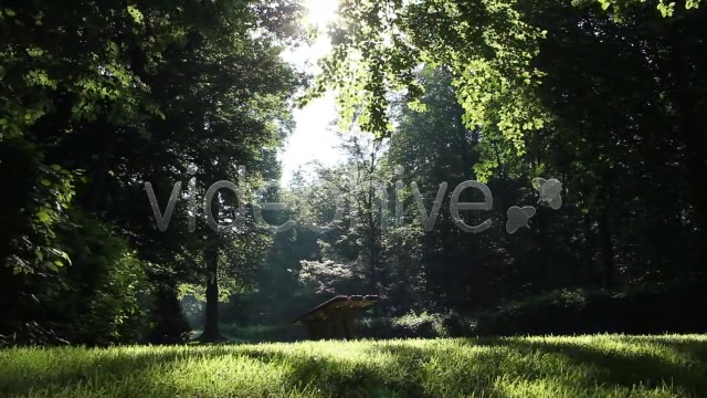 Park Forest  Videohive 2613431 Stock Footage Image 4