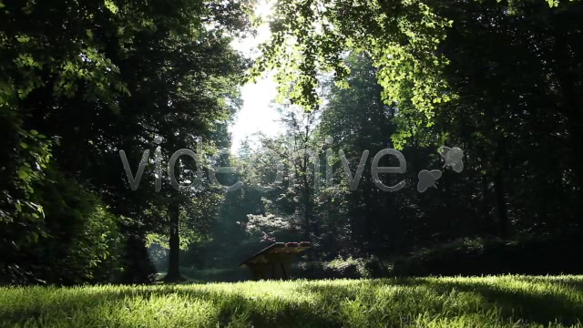 Park Forest  Videohive 2613431 Stock Footage Image 5