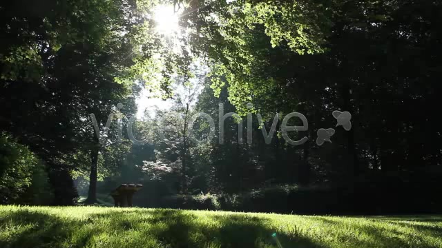 Park Forest  Videohive 2613431 Stock Footage Image 6