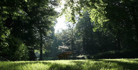 Park Forest  - Videohive 2613431 Download