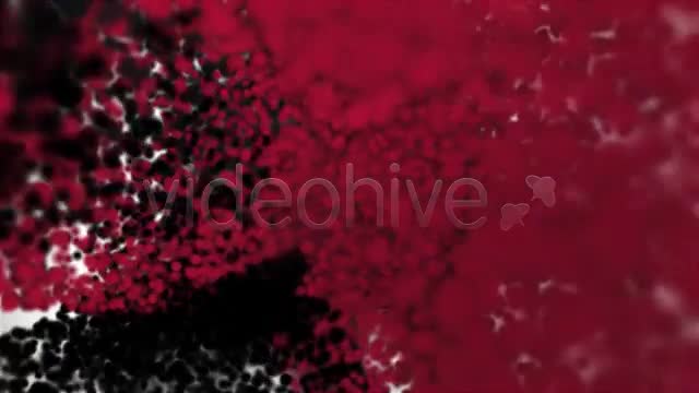Particle Logo Formation v2 - Download Videohive 758350
