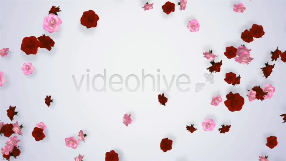 Particle Logo & Title Formation Videohive 3776367 Apple Motion Image 1