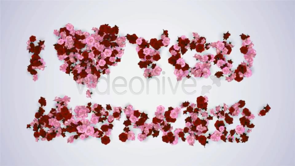 Particle Logo & Title Formation Videohive 3776367 Apple Motion Image 3