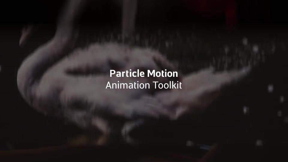 Particle Motion Photo Animation Particular Effects - Download Videohive 19279865