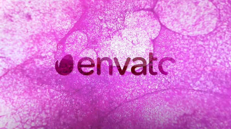 Particles Blast Logo Reveal Videohive 20382938 After Effects Image 2