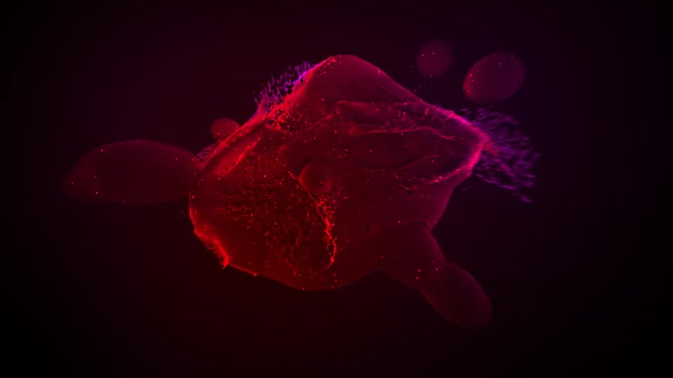 Particles Blast Logo Reveal Videohive 20382938 After Effects Image 4