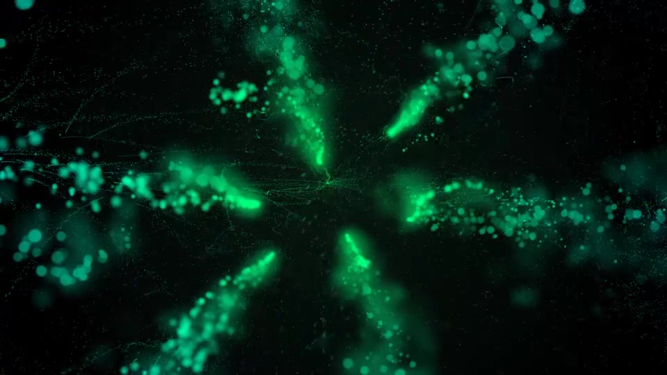 Particles Logo Reveal Videohive 14349711 After Effects Image 2