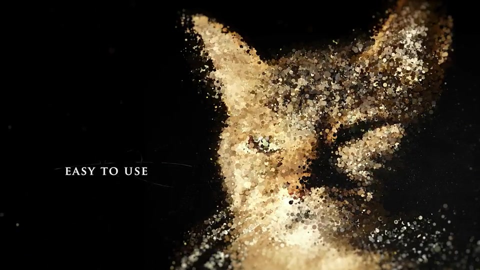 Particles Slideshow Videohive 35938979 After Effects Image 9