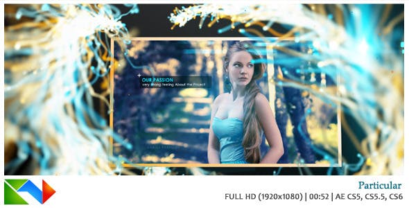 Particular - Videohive Download 4071840