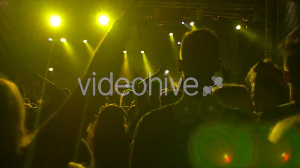 Party In The Club  Videohive 9193100 Stock Footage Image 3