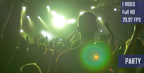 Party In The Club  - Download 9193100 Videohive