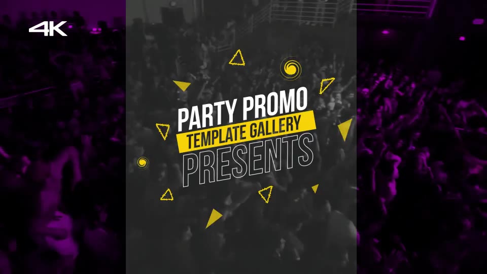 Party Promo - Download Videohive 16882692