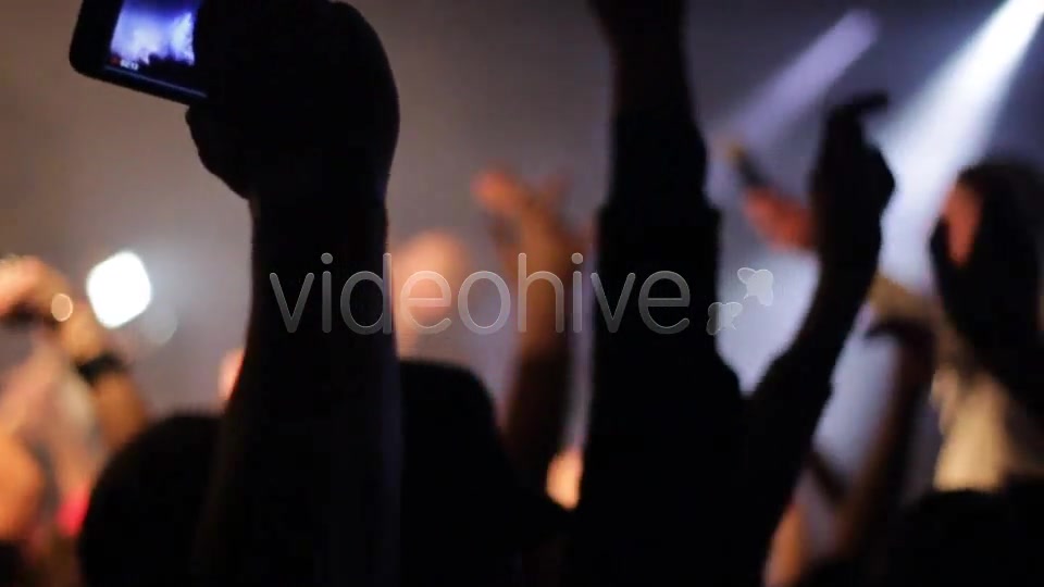 Partying In A Concert  Videohive 6696403 Stock Footage Image 4