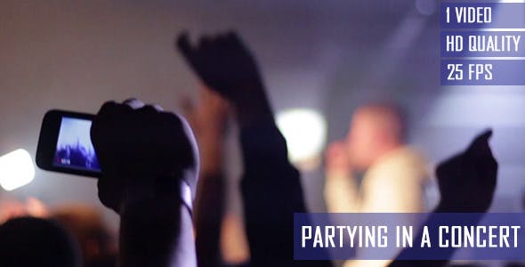 Partying In A Concert  - Download 6696403 Videohive