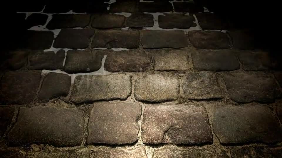 Pavement Stone - Download Videohive 5252329