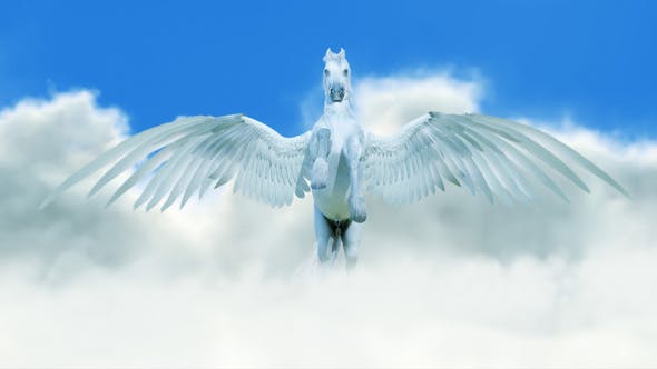 Pegasus Logo Opener - 21434890 Download Videohive