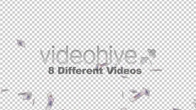 Peso Argentino Money Falling out of sky 8 Videos - Download Videohive 162166