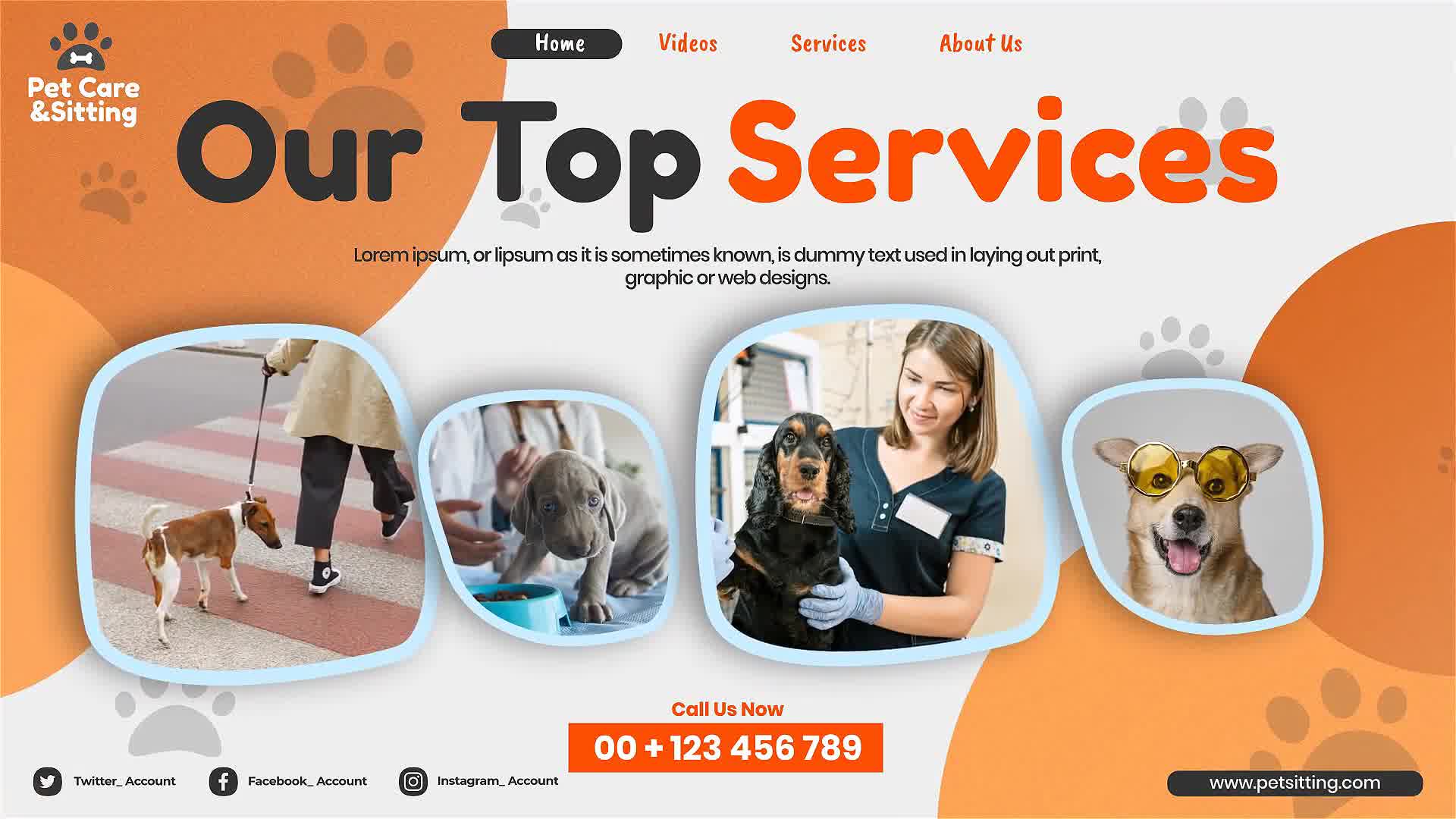 Pet Care and Sitting Center Videohive 32102574 After Effects Image 10