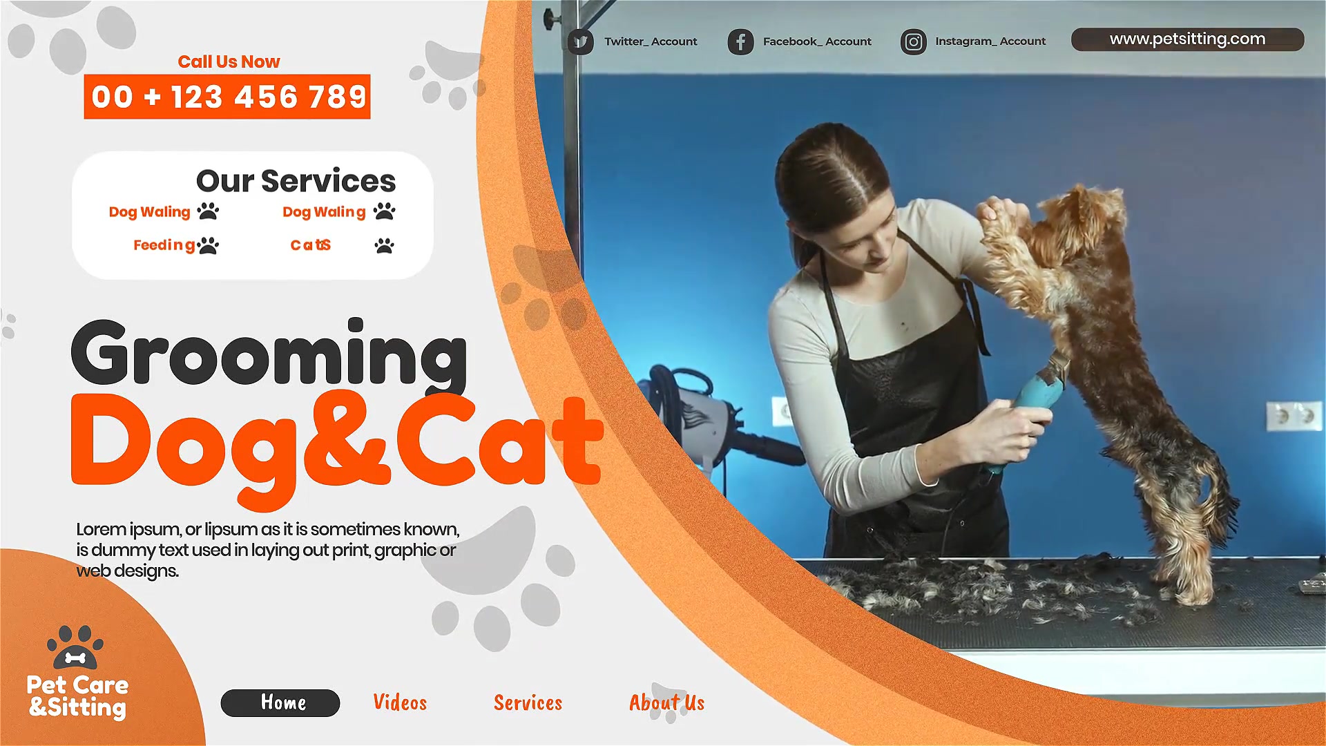 Pet Care and Sitting Center Videohive 32102574 After Effects Image 3