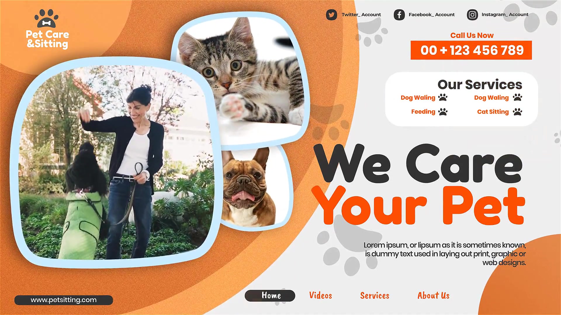 Pet Care and Sitting Center Videohive 32102574 After Effects Image 4