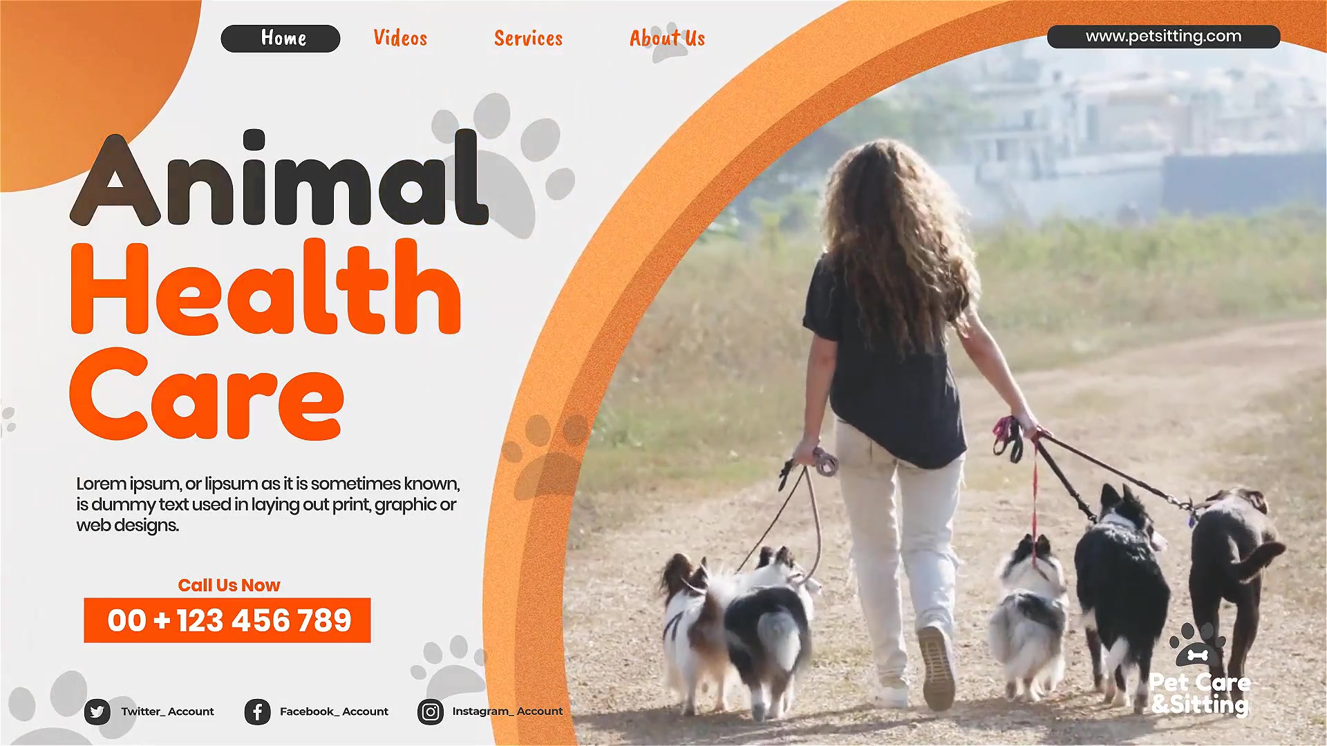 Pet Care and Sitting Center Videohive 32102574 After Effects Image 5