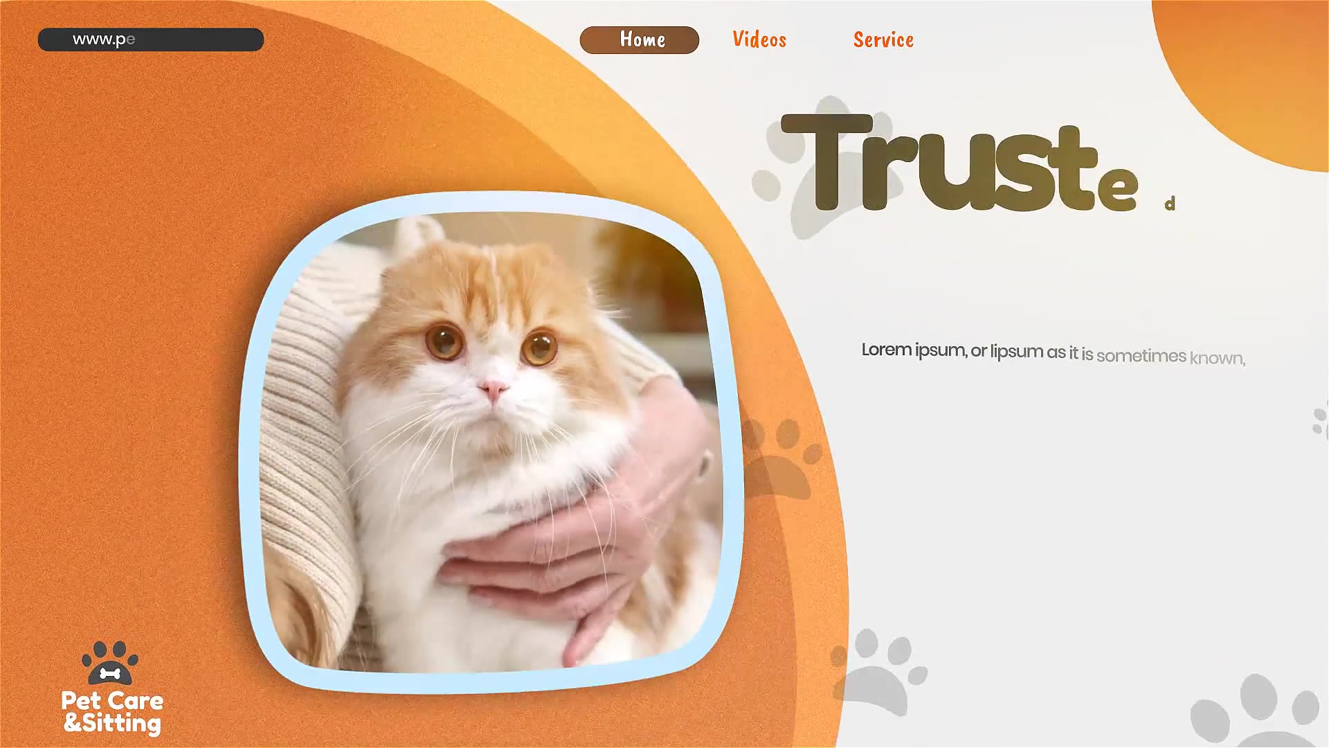 Pet Care and Sitting Center Videohive 32102574 After Effects Image 6