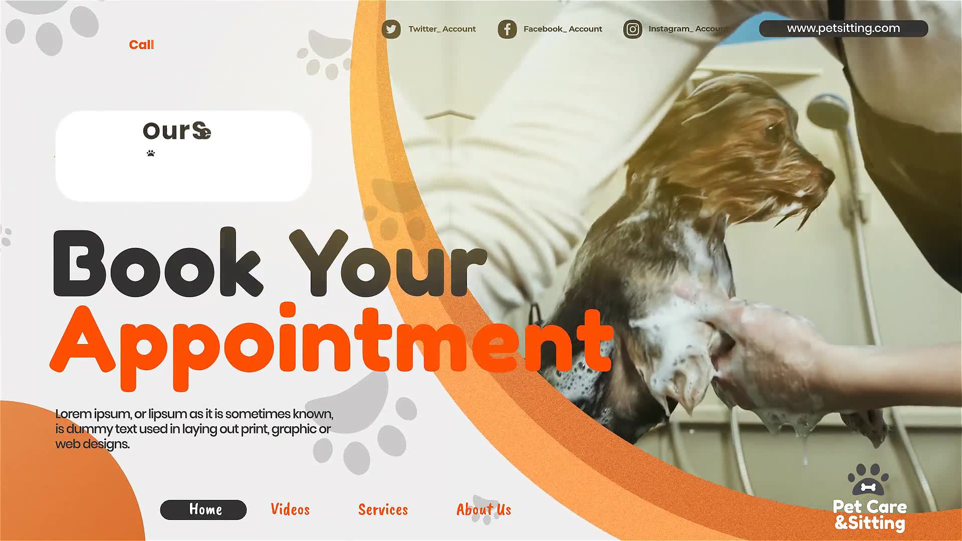 Pet Care and Sitting Center Videohive 32102574 After Effects Image 7