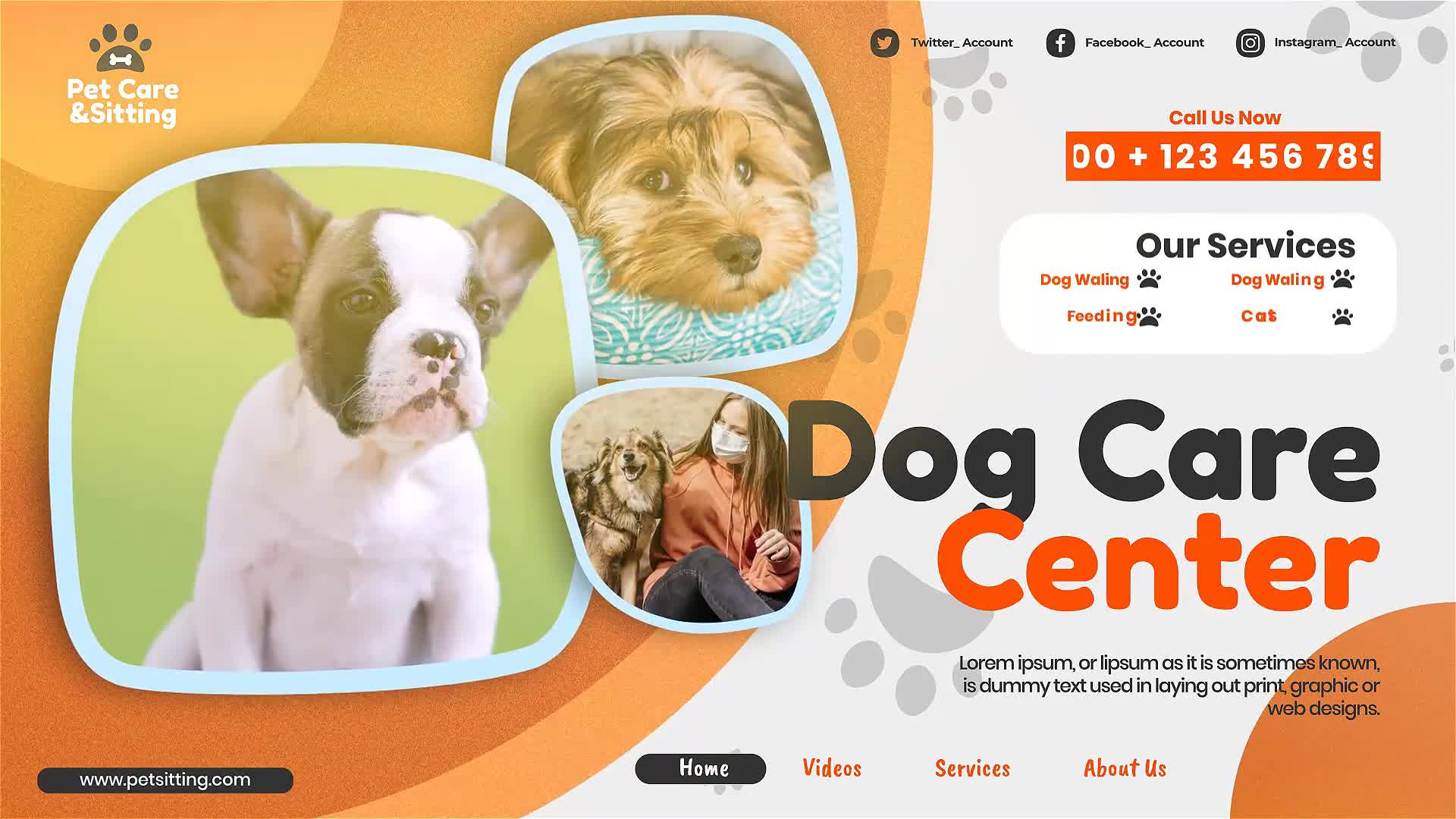 Pet Care and Sitting Center Videohive 32102574 After Effects Image 8