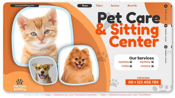 Pet Care and Sitting Center - 32102574 Videohive Download