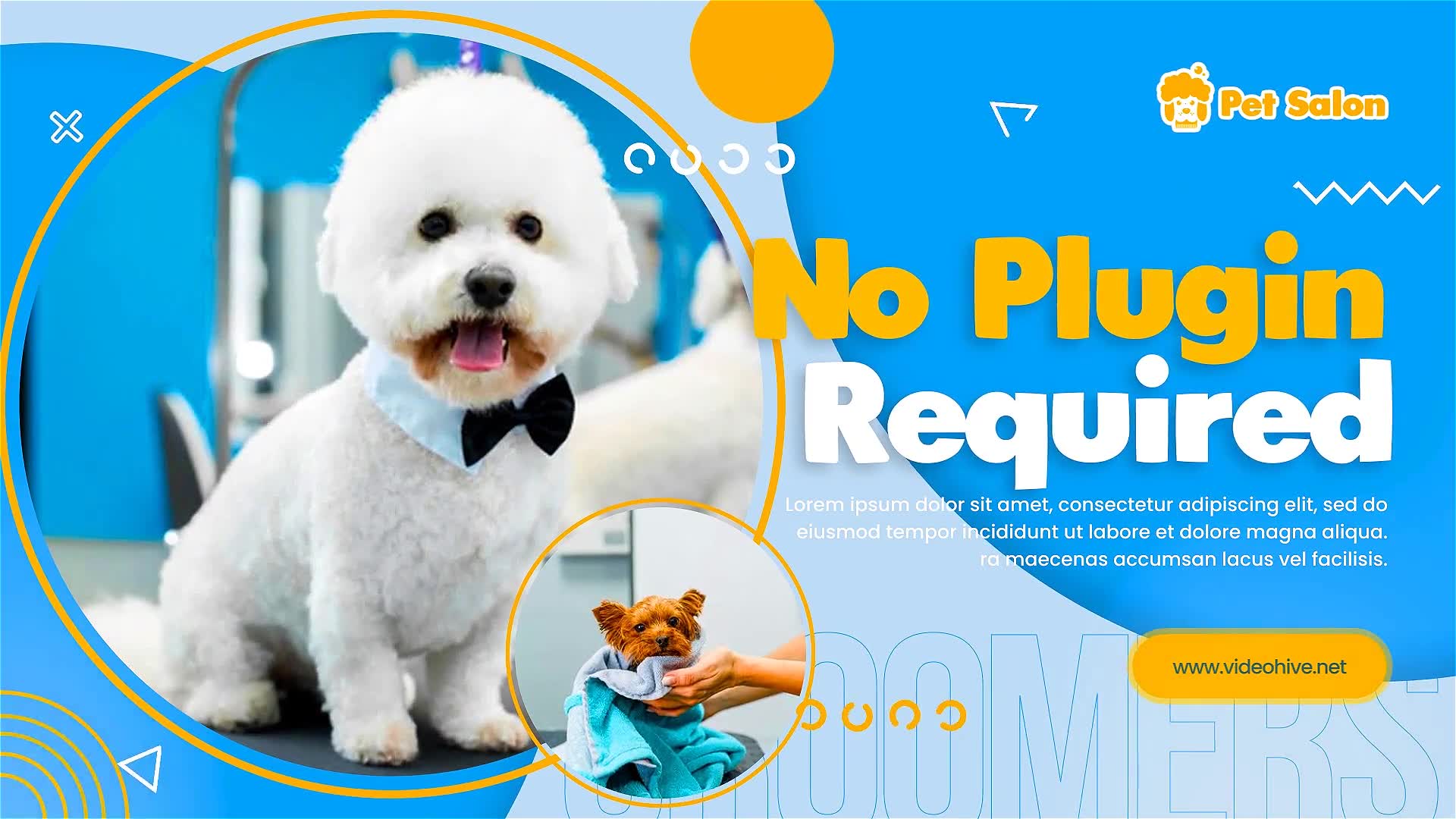 Pet Grooming Salon Promotion Videohive 30723694 After Effects Image 10