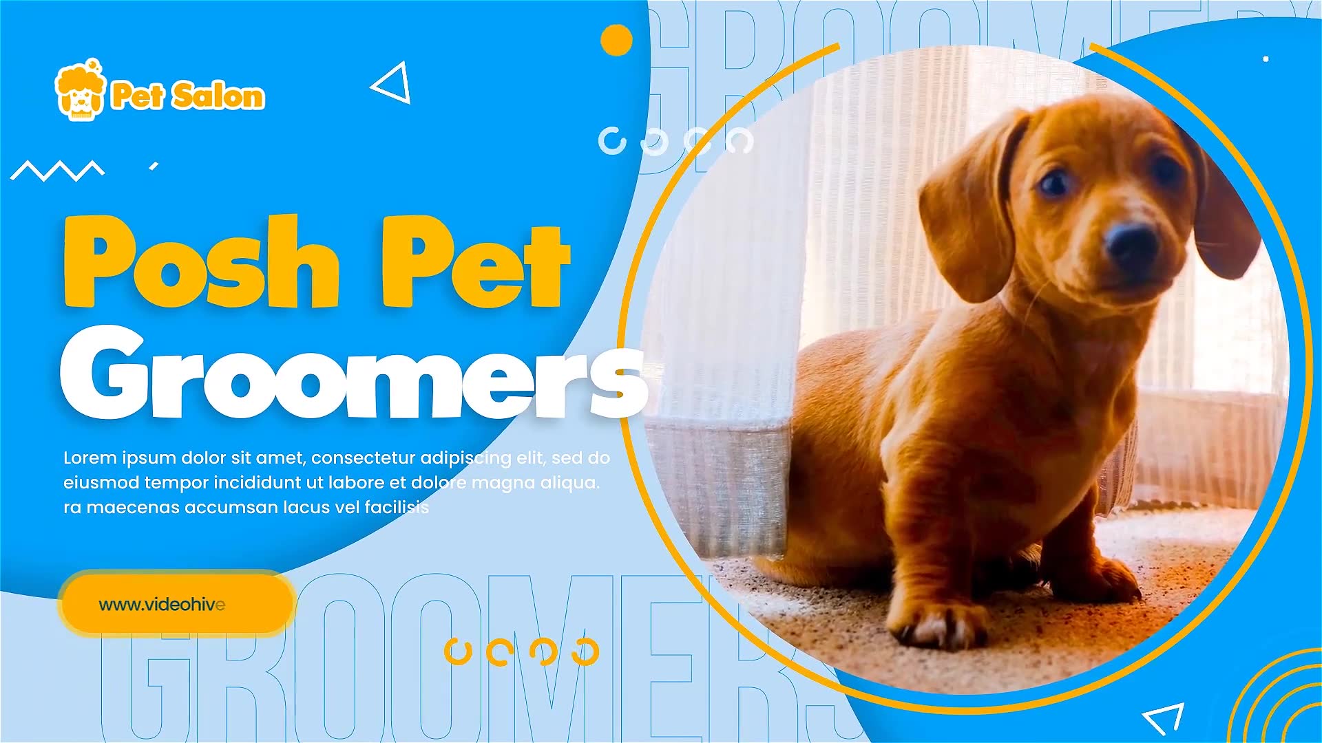 Pet Grooming Salon Promotion Videohive 30723694 After Effects Image 2