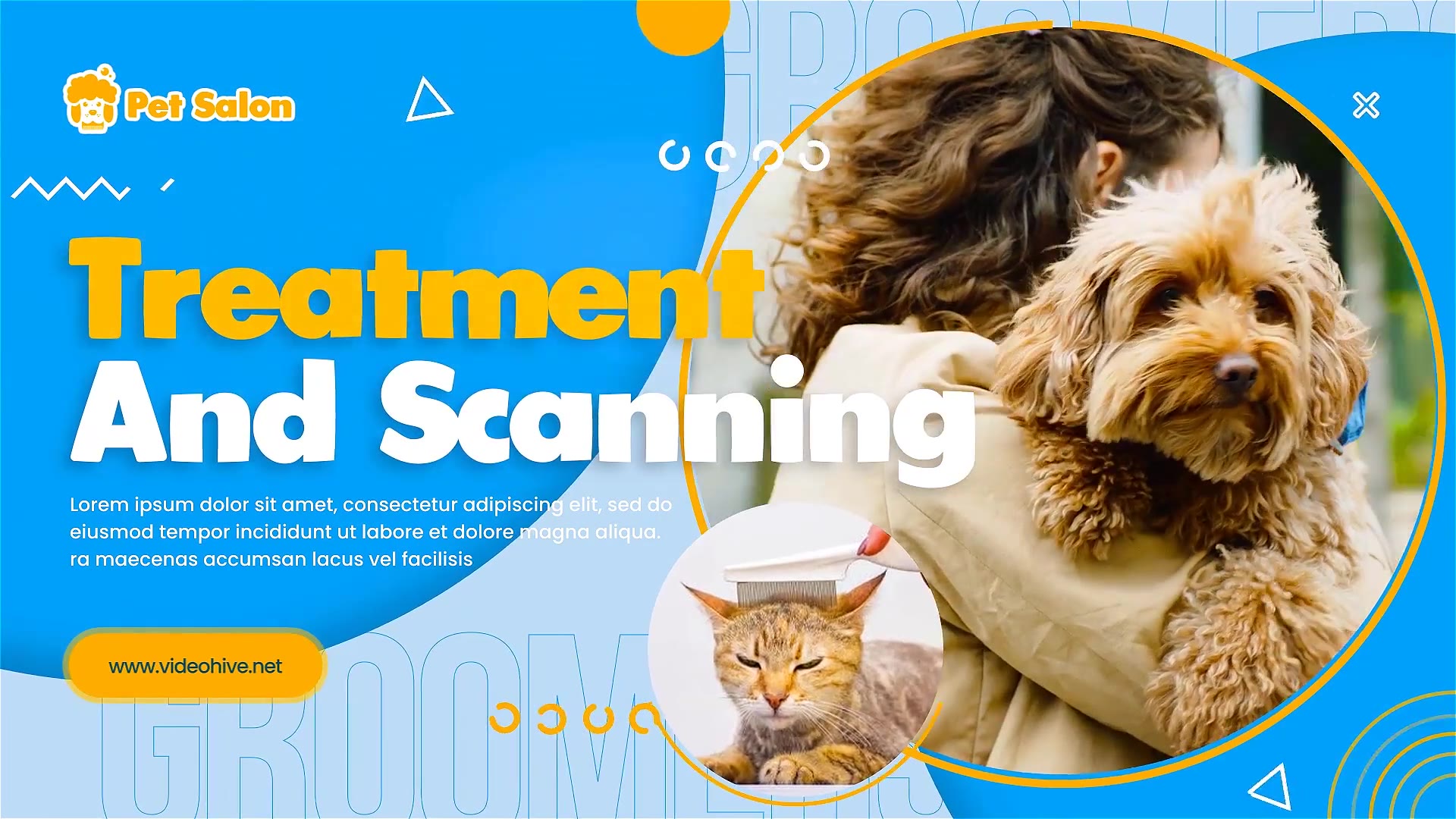 Pet Grooming Salon Promotion Videohive 30723694 After Effects Image 8