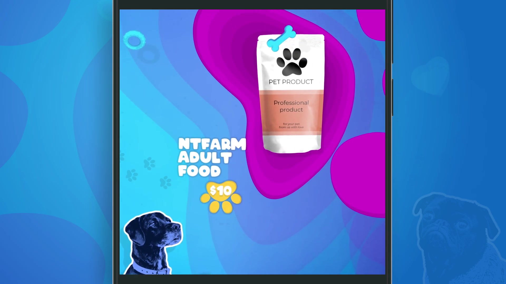 Pet Products Promo Videohive 27897529 After Effects Image 11