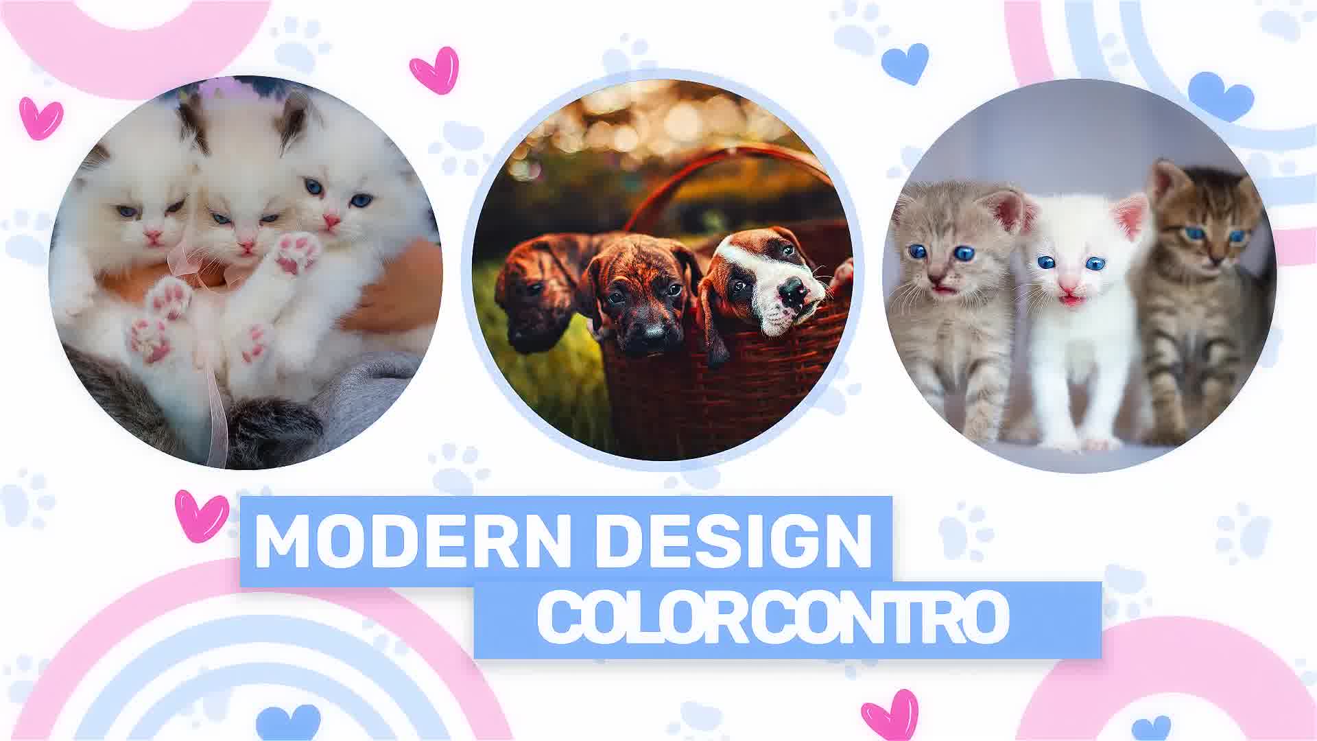 Pet Shop Promo Videohive 37783589 After Effects Image 11