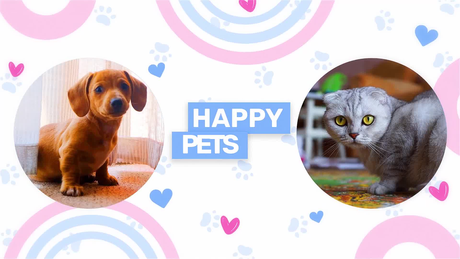 Pet Shop Promo Videohive 37783589 After Effects Image 9
