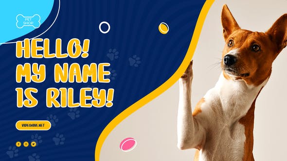 Pet Shop Promo - Videohive Download 38134741