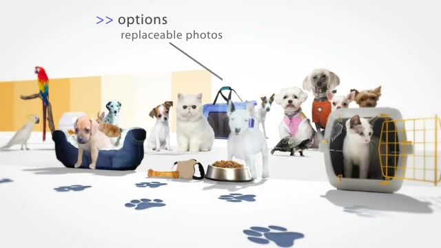 Pet Store Intro Tv Show Videohive 1952833 After Effects Image 11