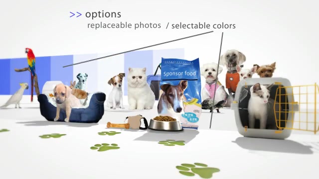 Pet Store Intro Tv Show Videohive 1952833 After Effects Image 12