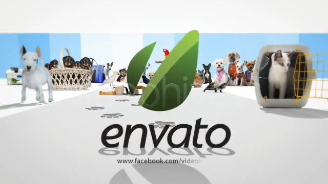 Pet Store Intro Tv Show Videohive 1952833 After Effects Image 4